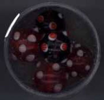 Glasperlen rund Dots rot-rosa-weiss